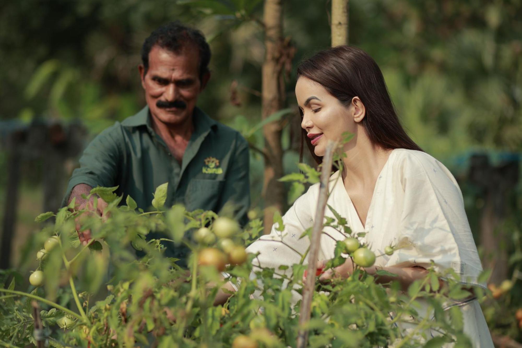 Kairali - The Ayurvedic Healing Village 팔라카드 외부 사진