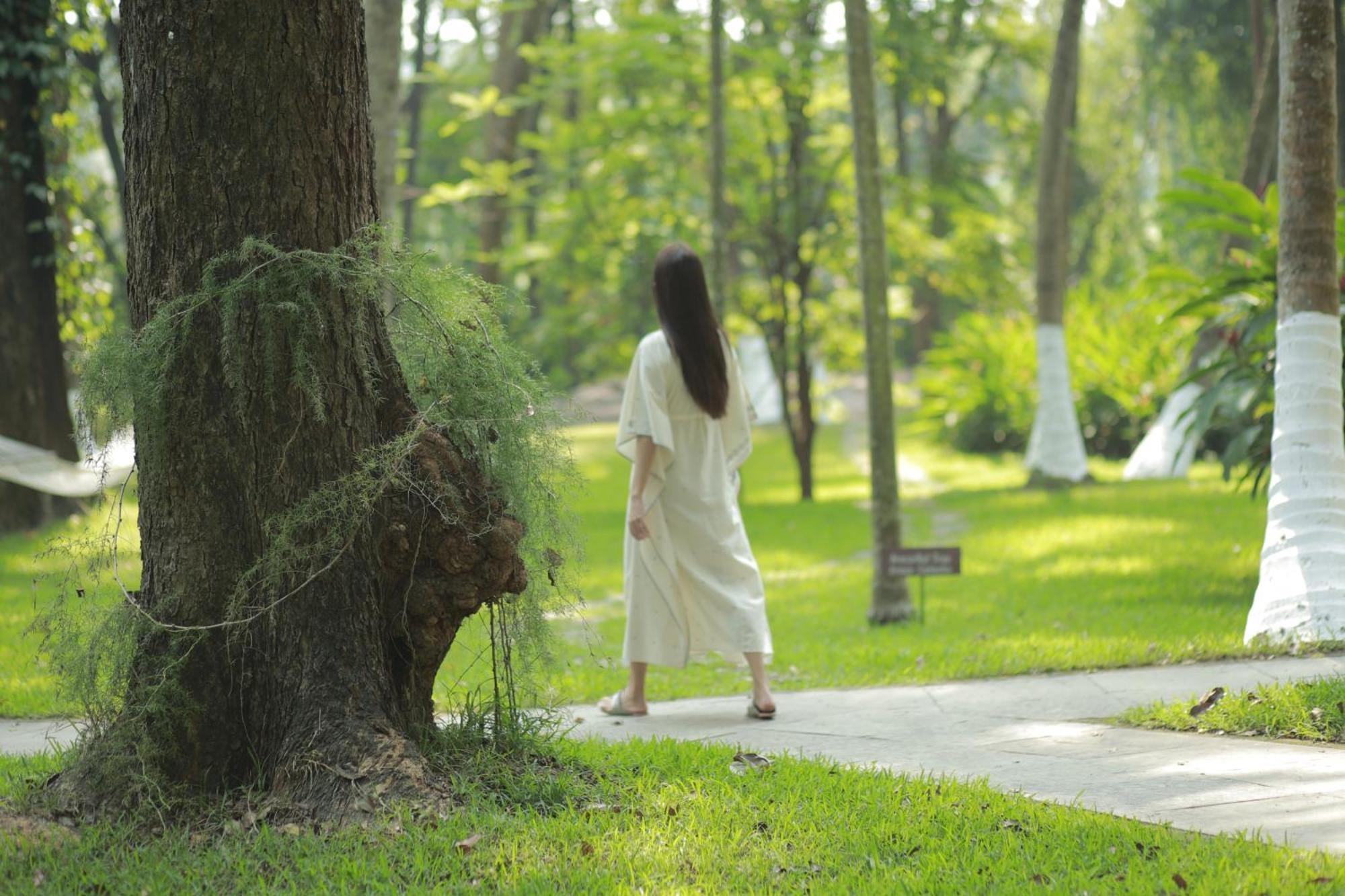 Kairali - The Ayurvedic Healing Village 팔라카드 외부 사진